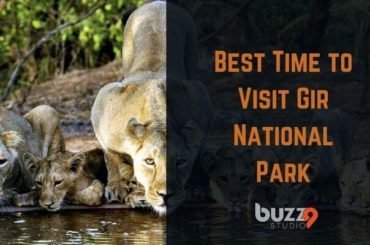 Best Season for Visit Gir National Park