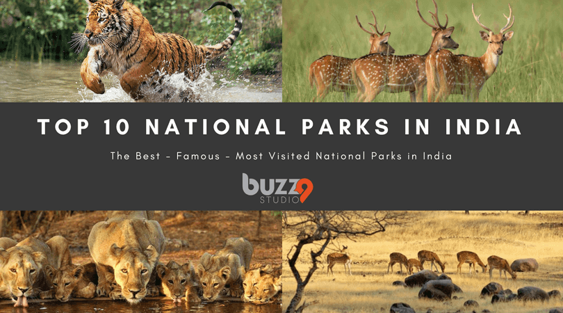 Top 10 National Parks in India