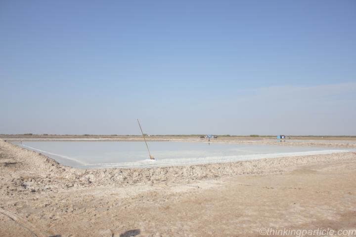 Sanctuary at the Little Rann of Kutch