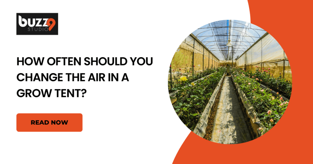 How often should you change the air in a grow tent?