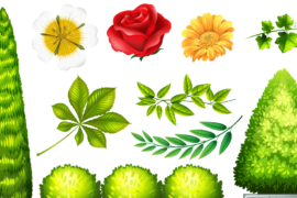 Ten Stunning Hedge Plants To Improve Your Garden